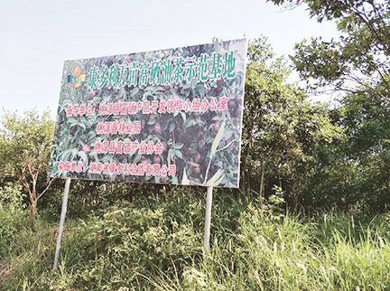 GA黄金甲·(中国区)官方网站