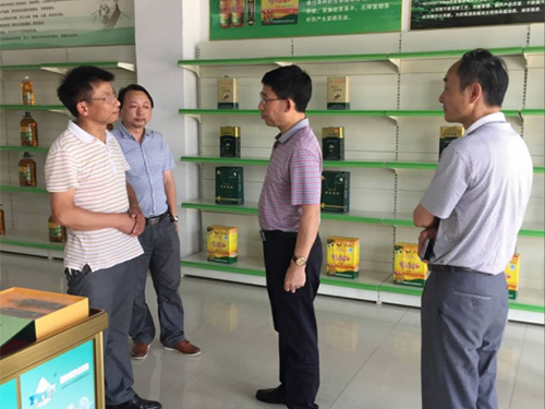 GA黄金甲,油茶莳植生产加工销售,植物油莳植生产加工销售