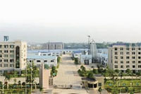 GA黄金甲,油茶莳植生产加工销售,植物油莳植生产加工销售