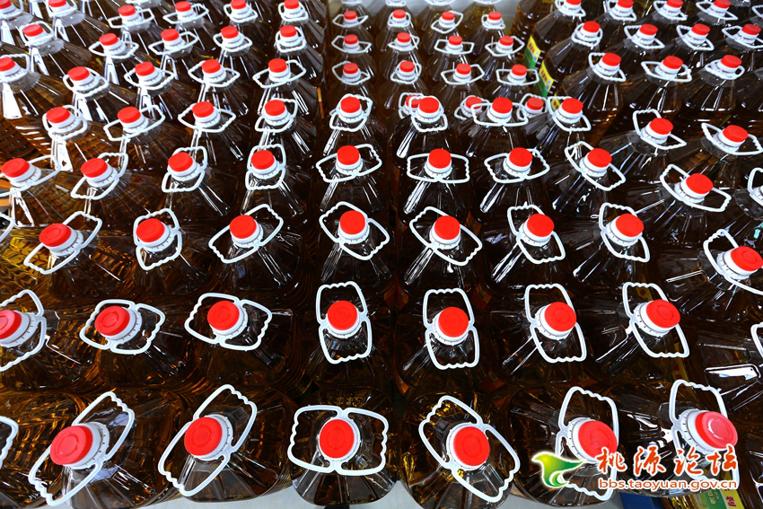 GA黄金甲,油茶莳植生产加工销售,植物油莳植生产加工销售