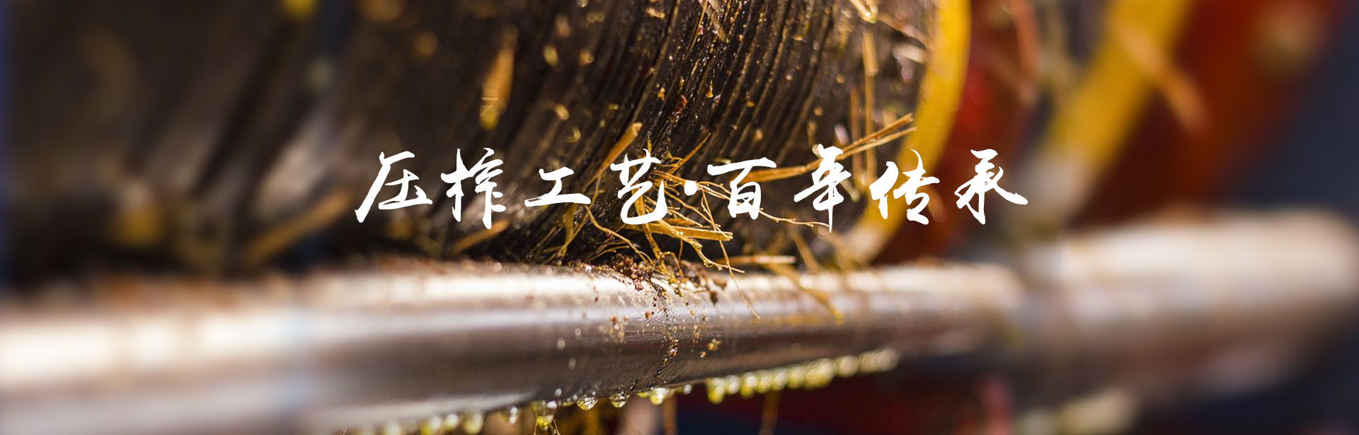 GA黄金甲_油茶莳植生产加工销售|植物油莳植生产加工销售