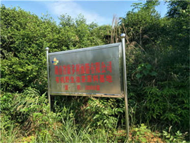 GA黄金甲,油茶莳植生产加工销售,植物油莳植生产加工销售