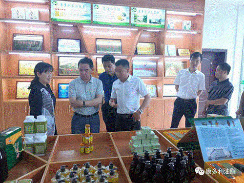 GA黄金甲,油茶莳植生产加工销售,植物油莳植生产加工销售