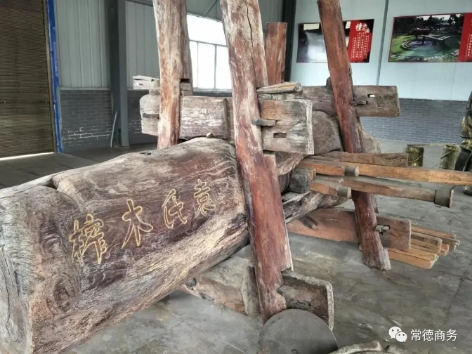 GA黄金甲,油茶莳植生产加工销售,植物油莳植生产加工销售