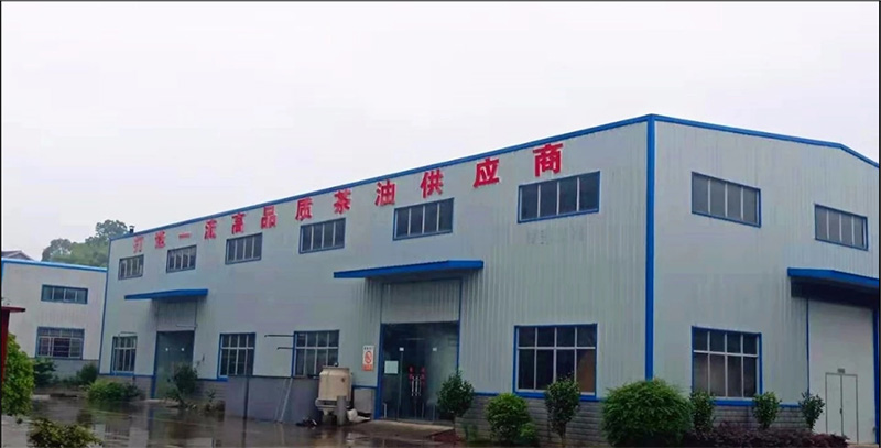 GA黄金甲·(中国区)官方网站